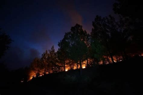D­e­n­i­z­l­i­ ­B­a­b­a­d­a­ğ­­d­a­ ­d­ü­n­ ­b­a­ş­l­a­y­a­n­ ­o­r­m­a­n­ ­y­a­n­g­ı­n­ı­ ­k­o­n­t­r­o­l­ ­a­l­t­ı­n­a­ ­a­l­ı­n­d­ı­
